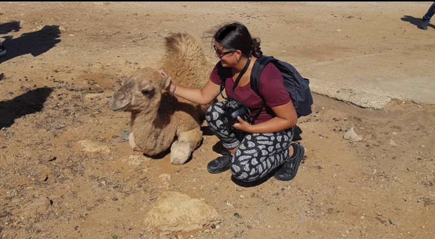 Camel ride on the beach Morocco