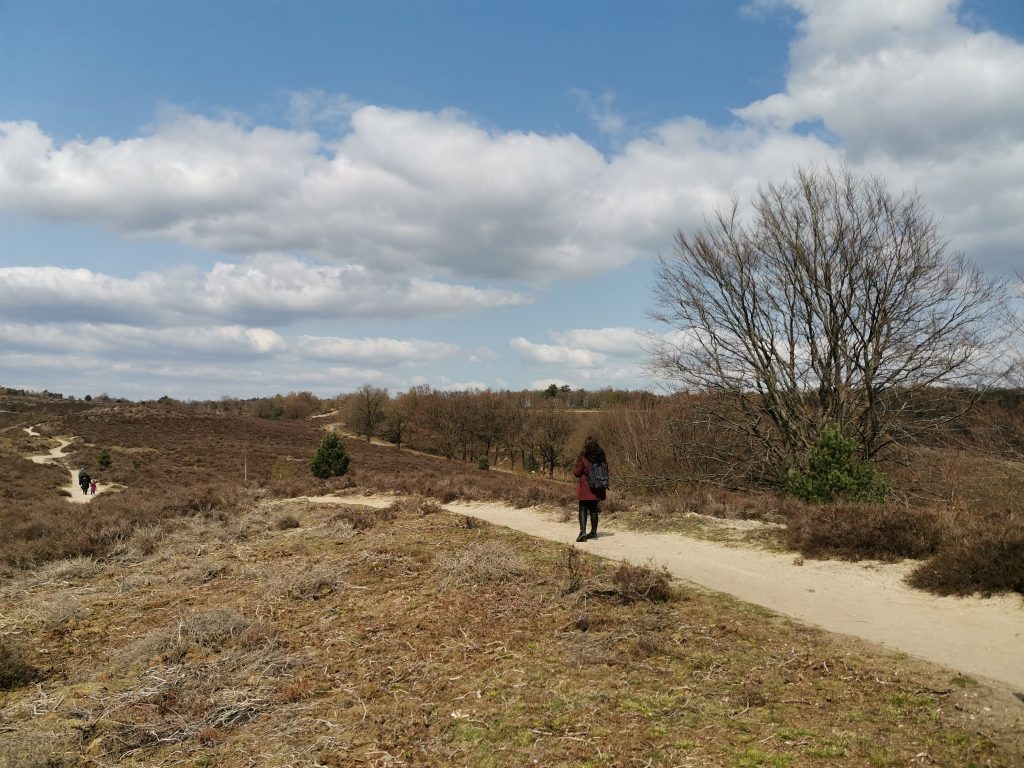 10 places I want to visit once I move back home - Veluwe Posbank