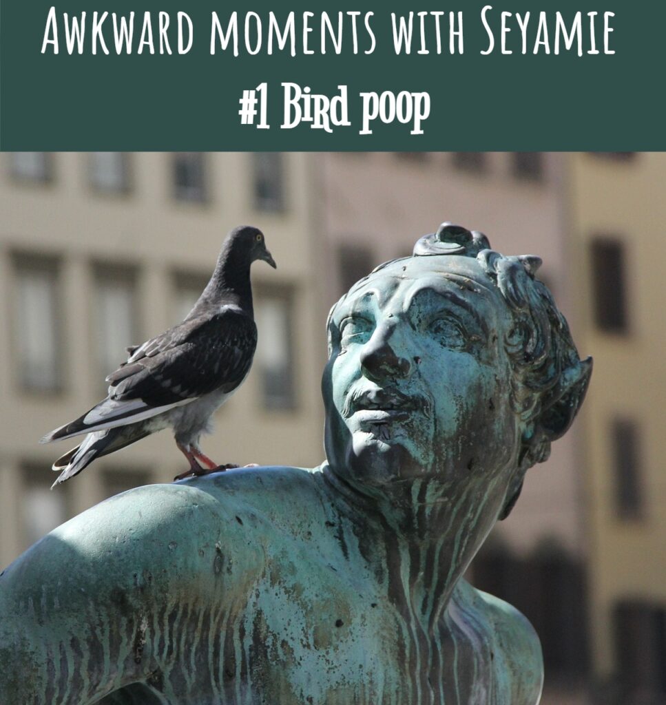 Awkward moments with Seyamie #1 Bird poop