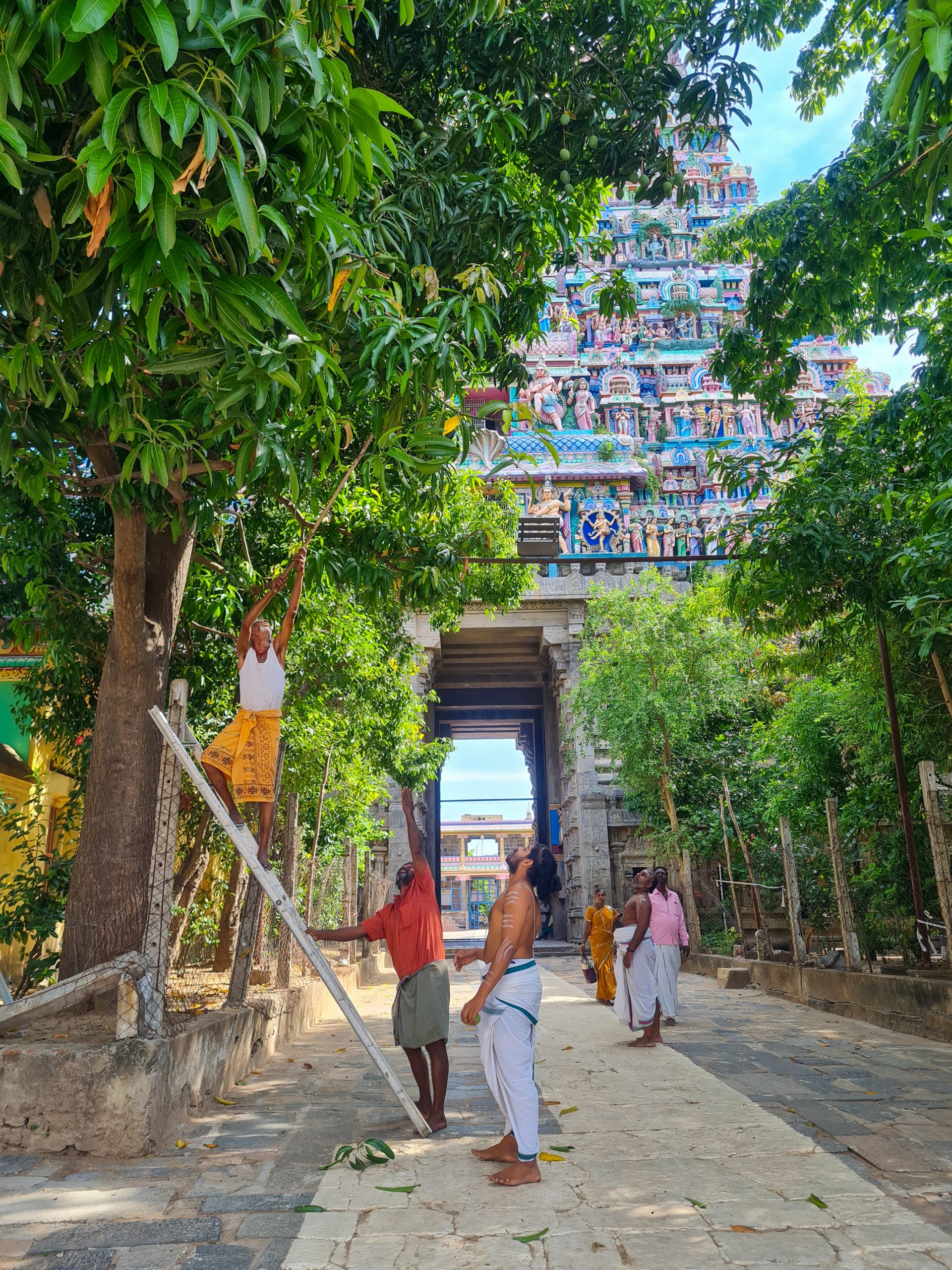 4 Incredible places to visit near Pondicherry Chidambaram