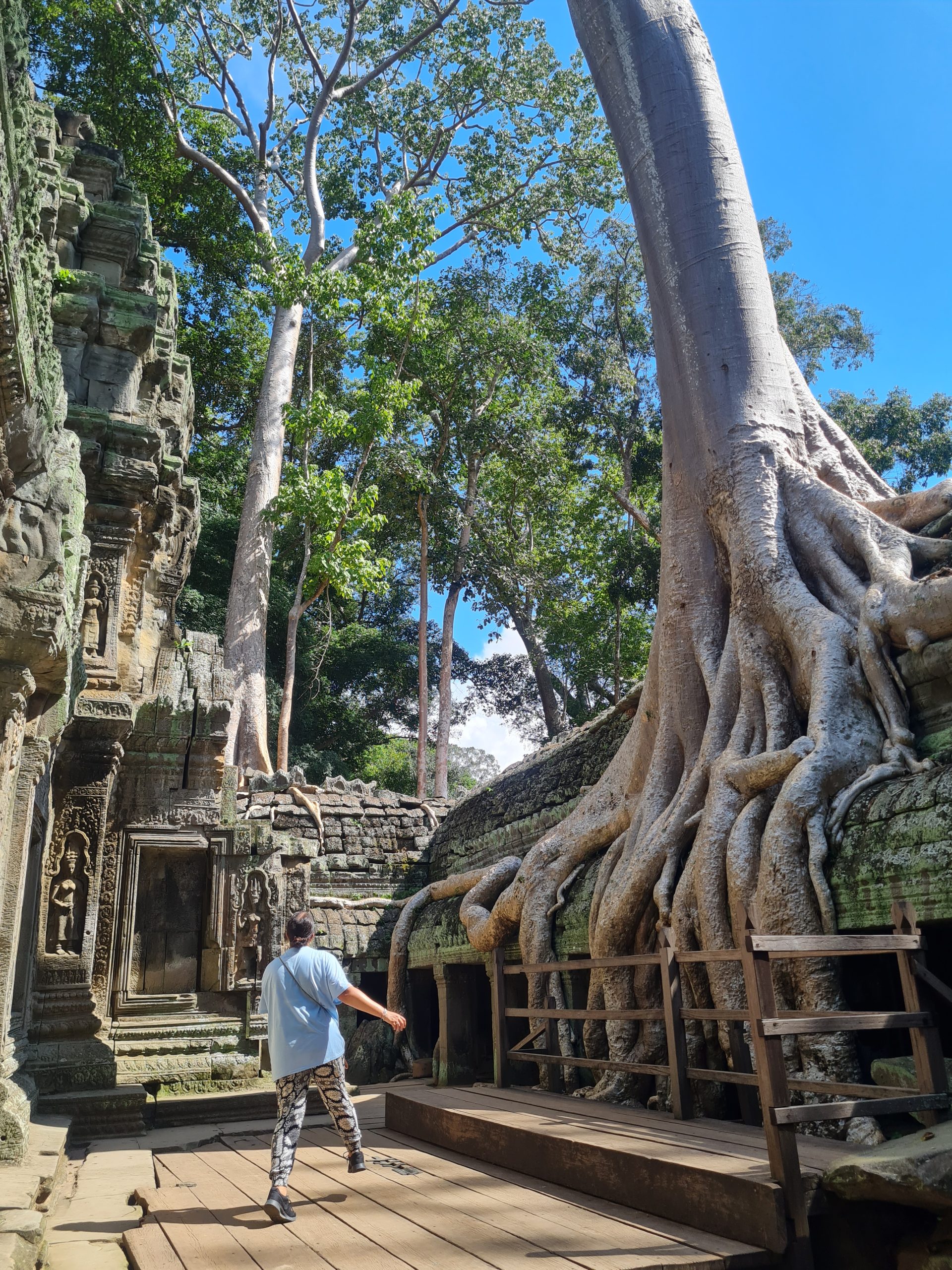 Angkor Wat (Cambodia) Costs and 7 amazing temples you can’t miss! ta prohm